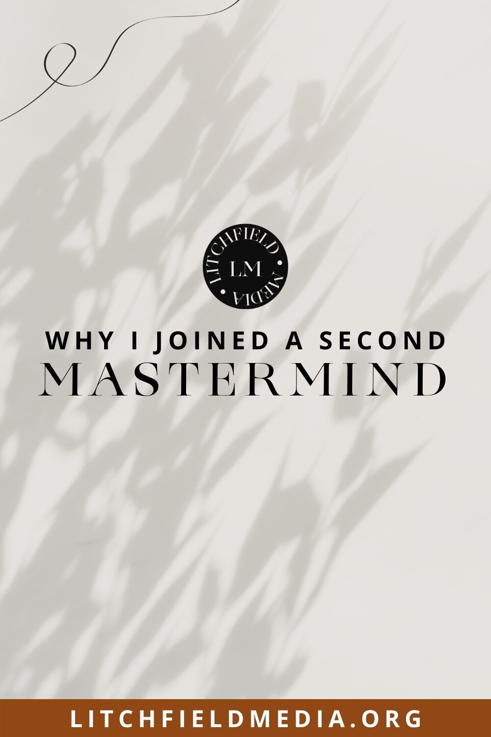 Litchfield Media Blog Why I joined a second mastermind.jpg